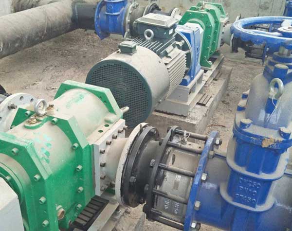 凸輪轉(zhuǎn)子泵 凸輪轉(zhuǎn)子泵