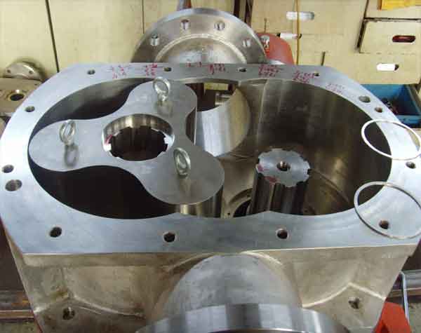 不銹鋼轉子泵 不銹鋼轉子泵