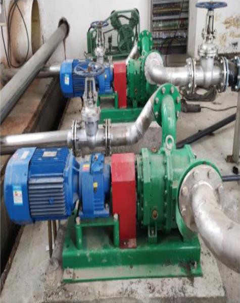 豬糞轉(zhuǎn)子泵是否會在運行時頻繁堵塞