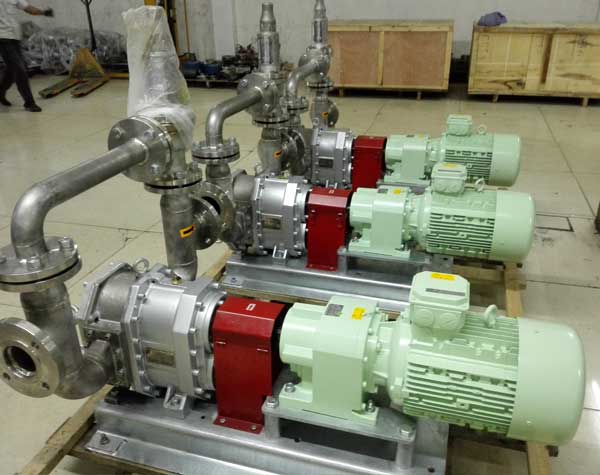 不銹鋼轉(zhuǎn)子泵 不銹鋼轉(zhuǎn)子泵